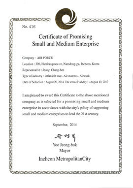 Certificate of Promising Small and Medium Enterprise